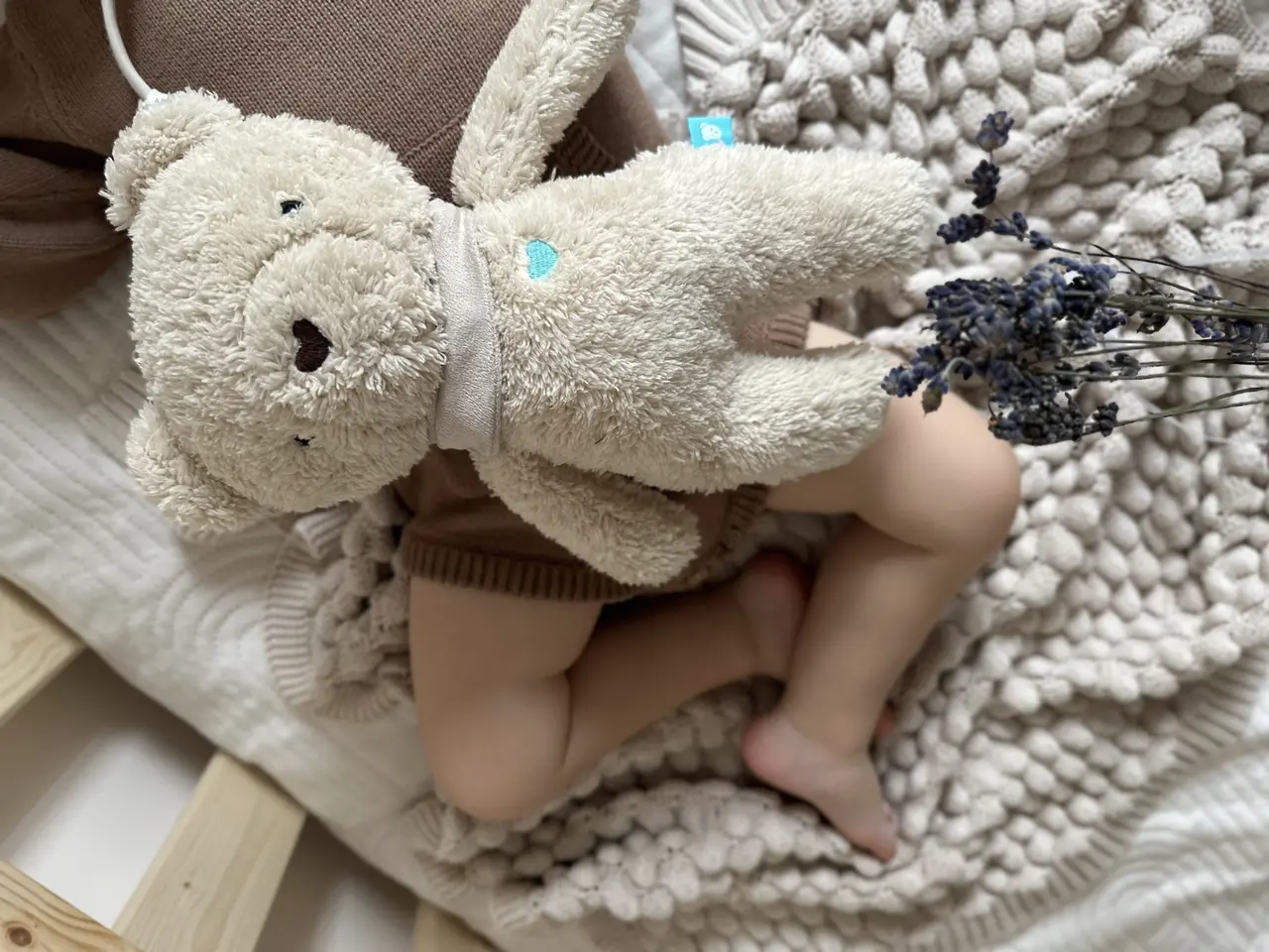 Comment fonctionne myHummy ?