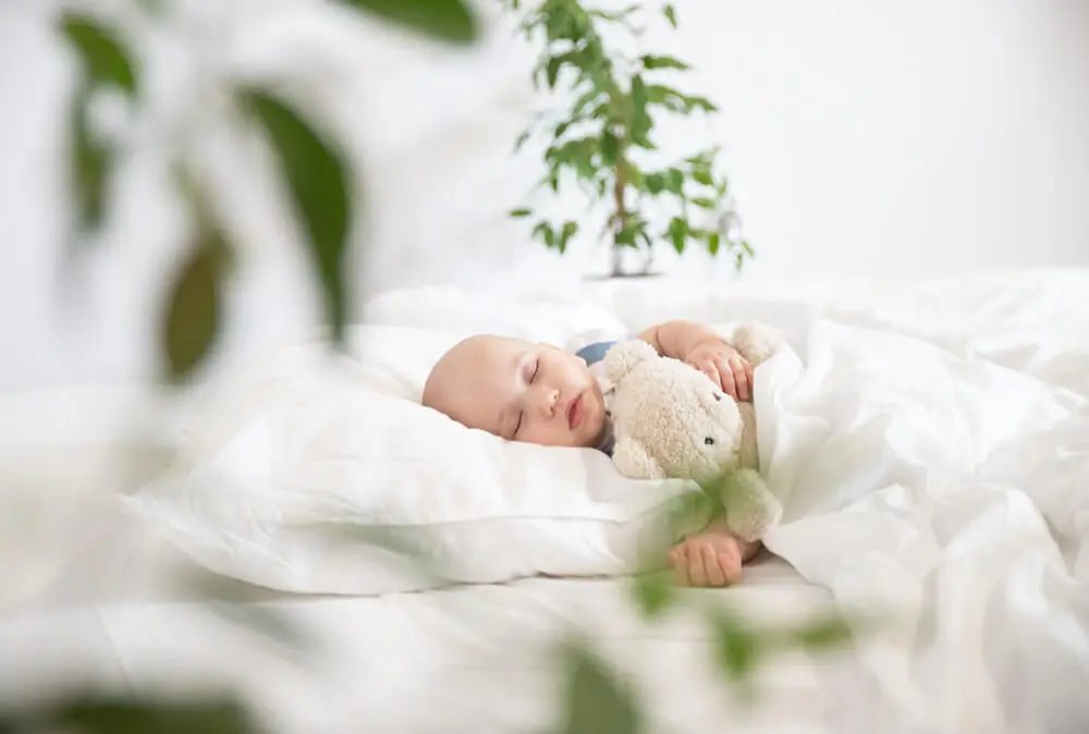 Coussin chauffant naturel aux grains de blé - quels sont ses avantages ?