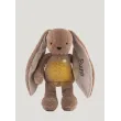 myHummy® Lapin 5en1 avec lumière - marron